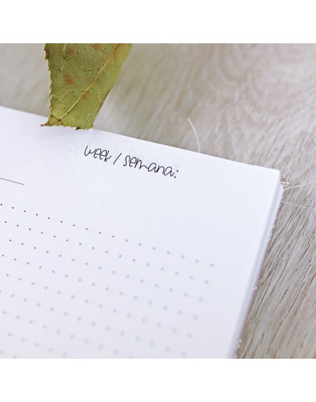 Daily planner refill