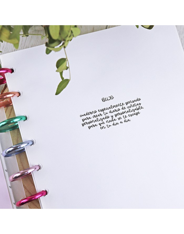 Bullet Journal XL filling