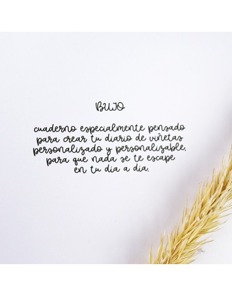 Bullet journal XL filling