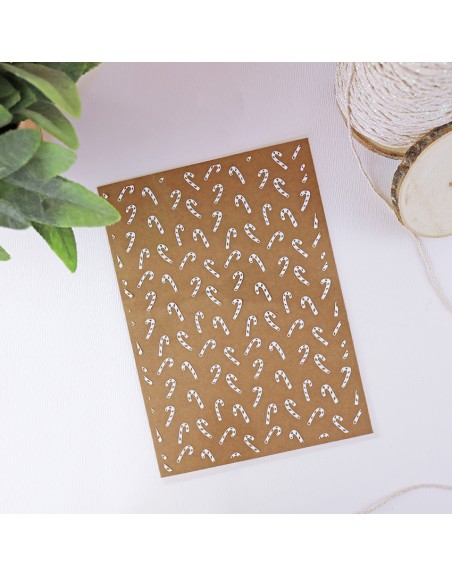 Pack 4 pieces acetate Nadal