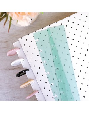 XL DISC binder guide Menta Translúcido. Pack of 2