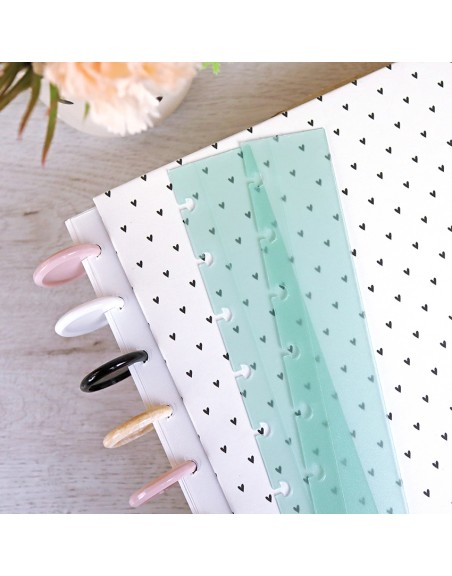 Translucent mint XL disc binder guide