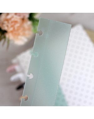 XL DISC binder guide Menta Translúcido. Pack of 2 2