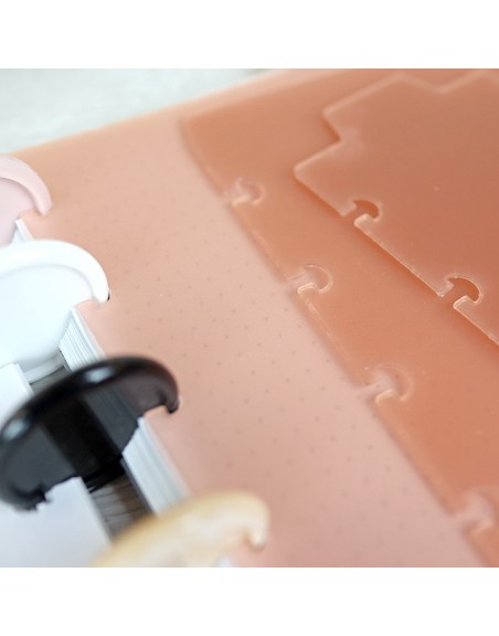 Set A5 DISC planner dividers Rosa Translúcido