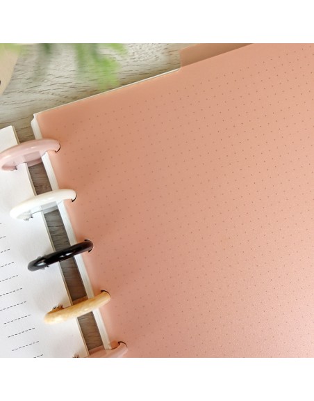 Set A5 DISC planner dividers Rosa Translúcido