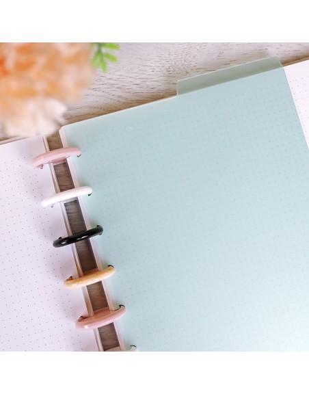 Set A5 DISC planner dividers Menta Translúcido