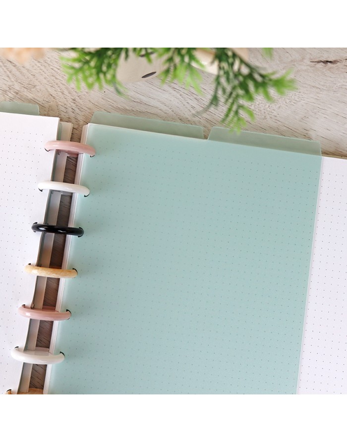 Set A5 DISC planner dividers Menta Translúcido