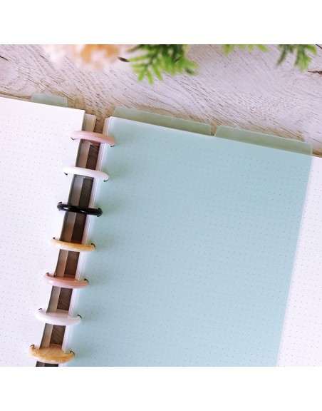 Set A5 DISC planner dividers Menta Translúcido