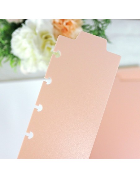 Set A5 DISC planner dividers Rosa Opaco