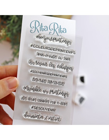 Printemps FRENCH clear stamps set | Alúa Cid