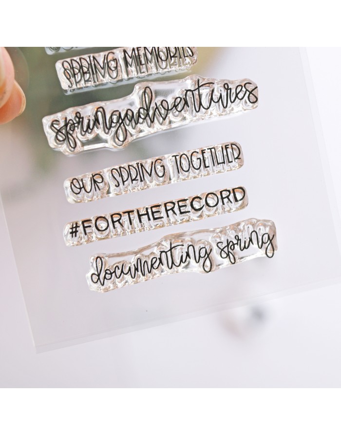 Spring Moments clear stamp | Alúa Cid