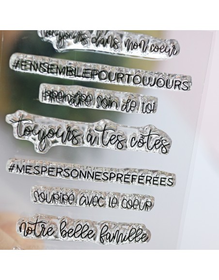Moments en famille FRENCH clear stamps set | Alúa Cid