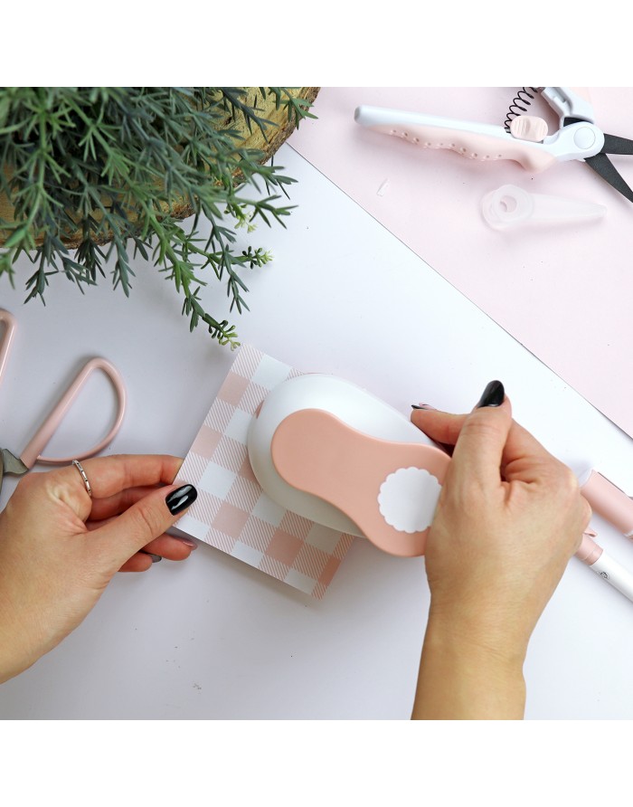 Scallop Punch, Alúa Cid