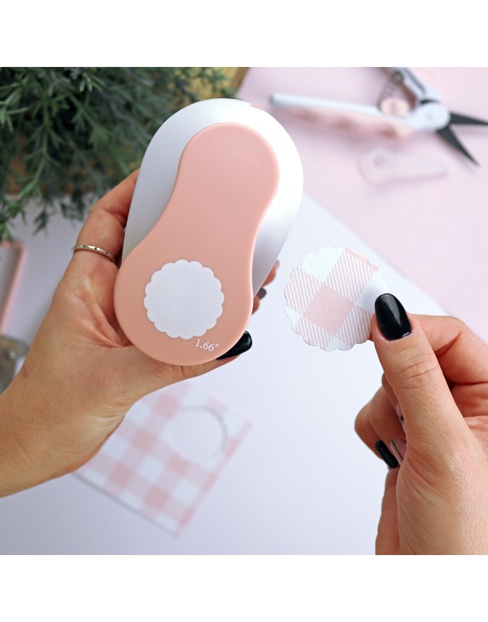 Galleta punch | Alúa Cid