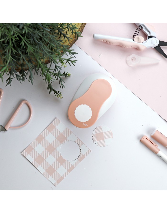 Scallop Punch, Alúa Cid