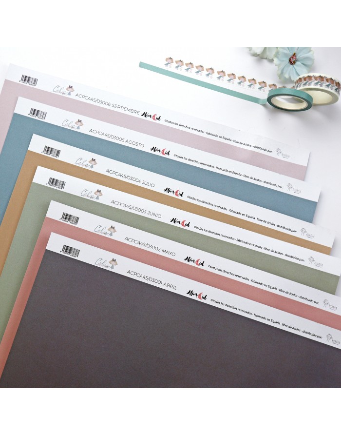 Junio basic cardboard | CeliAlice...