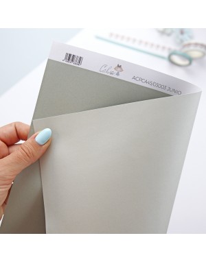 Junio basic cardboard | CeliAlice collection by Alúa Cid