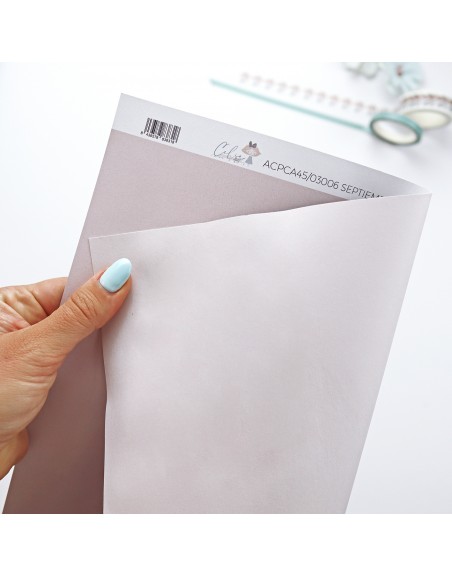 September cardboard, 'CeliAlice'